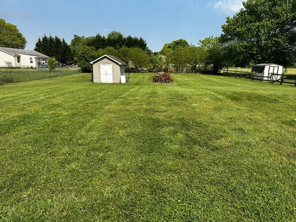 Expert yard cleanup service experts serving Hartly, DE - Halls Lawn Care