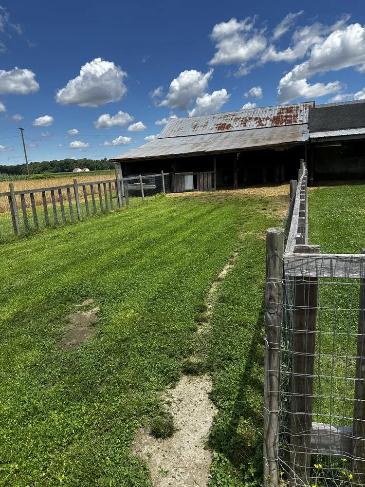 Affordable yard cleanup service in Hartly, DE - Halls Lawn Care