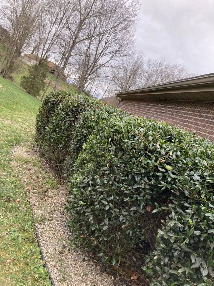 Expert landscape design in Somerset, KY - Halls Lawn Care Service