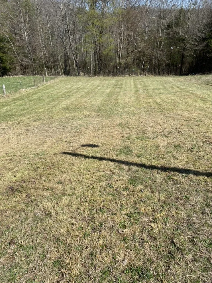 Top-rated yard maintenance in Somerset, KY by Halls Lawn Care Service