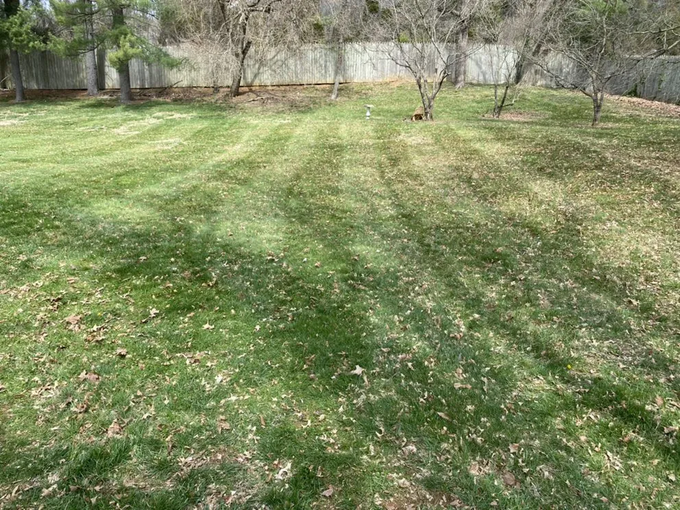 Expert landscaping services in Somerset, KY - Halls Lawn Care Service