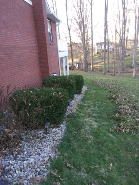 Top-rated lawn care service experts serving Somerset, KY - Halls Lawn Care Service