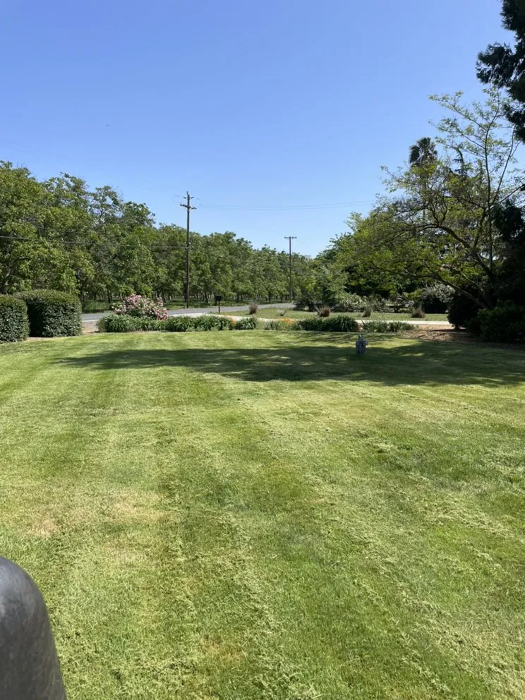 Trusted landscaping services experts serving Stockton, CA - Hall”s Lawn Care