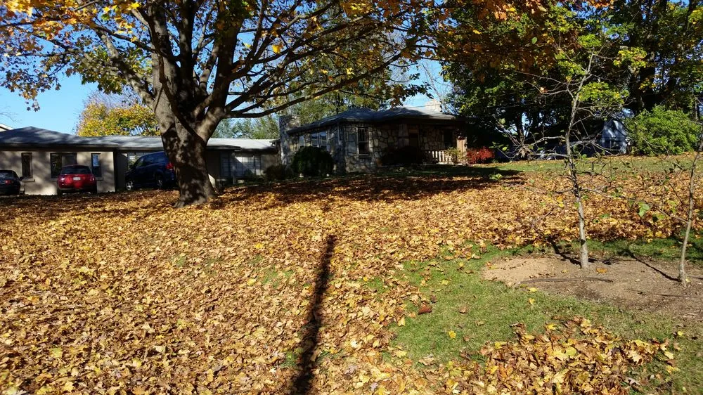 Affordable landscape design in Asheville, NC by Hall's Lawn Service