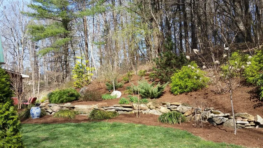 Trusted yard cleanup service in Asheville, NC by Hall's Lawn Service