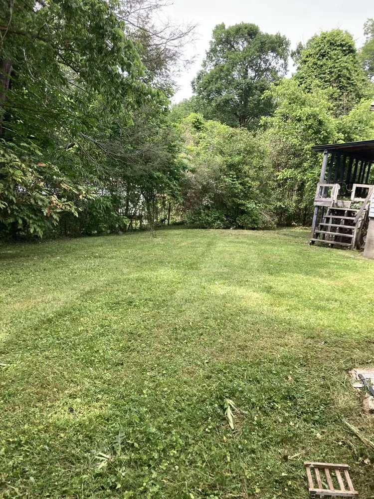 Trusted yard maintenance experts serving Newport, TN - Hall’s lawncare
