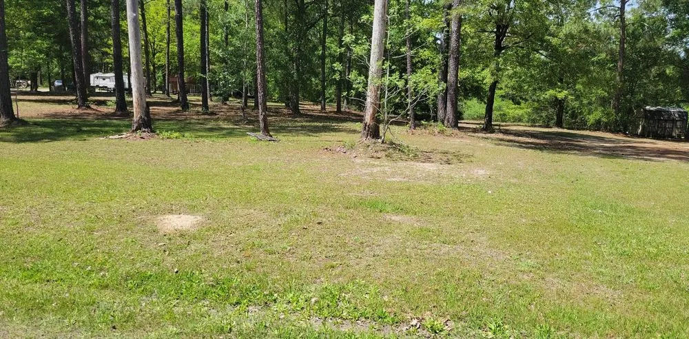 Local outdoor landscaping experts serving East Dublin, GA - Hall's Lawncare Pressure Washing & More