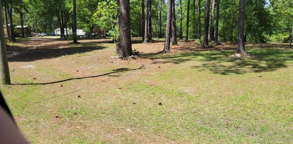 Trusted lawn care service for residential properties across East Dublin, GA - Hall's Lawncare Pressure Washing & More