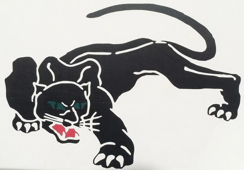 Reliable yard cleanup service for residential properties in Macon, GA by Hall's Tree Service