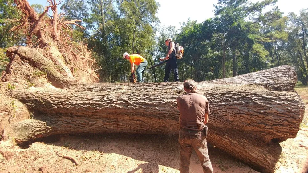Custom outdoor landscaping in Macon, GA by Hall's Tree Service