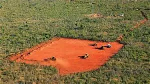 Professional landscape design in Macon, GA by Hall's Tree Service