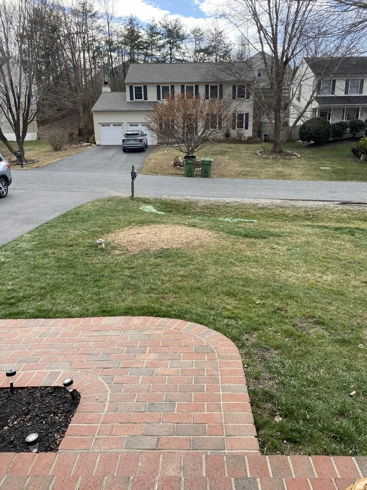 Top-rated lawn care service for outdoor upgrades in Stafford, VA by Hall's Tree Service