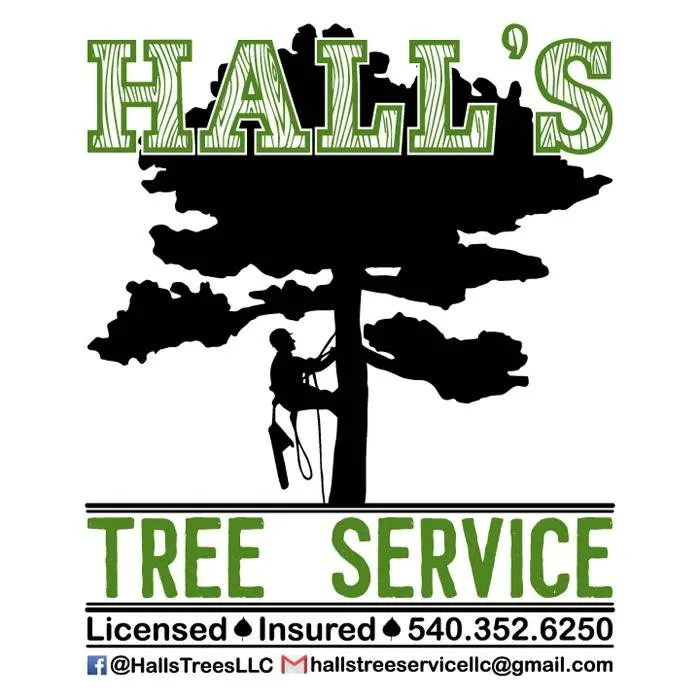 Reliable lawn care service experts serving Stafford, VA - Hall's Tree Service