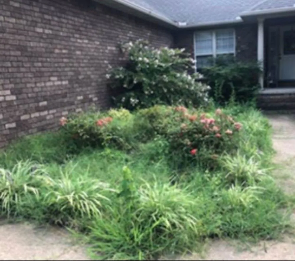 Custom yard cleanup service in Manchester, TN - Hallscapes Landscaping