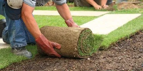 Affordable lawn mowing service experts serving North Charleston, SC - Halo Landscaping