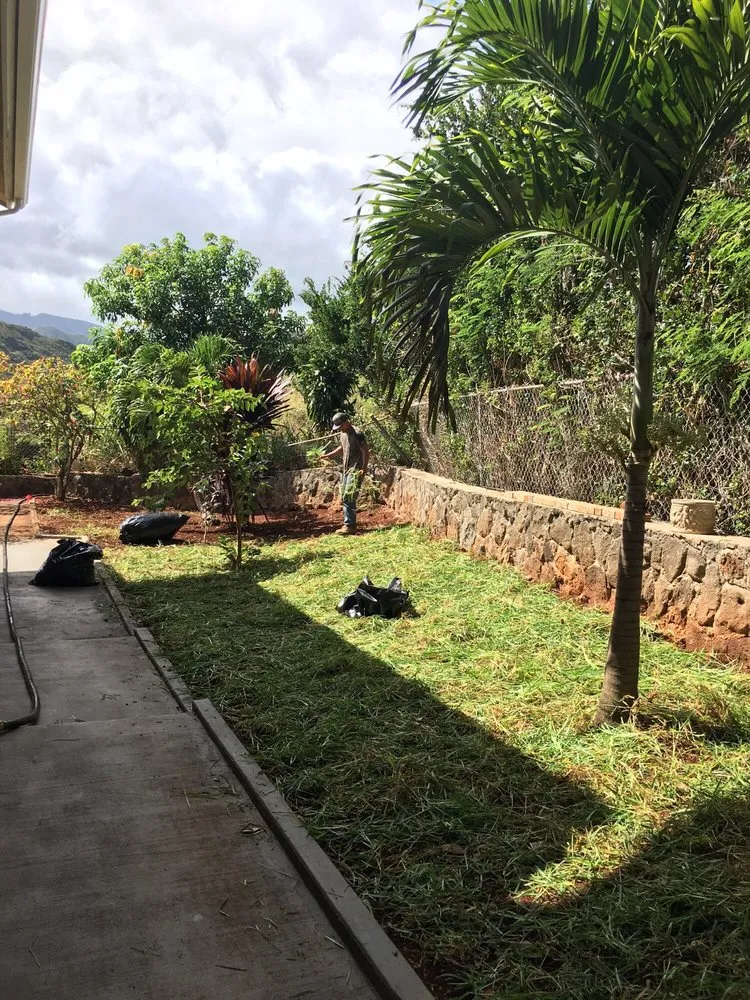 Local residential landscaping in Waimanalo, HI by Haloa Hydroseed