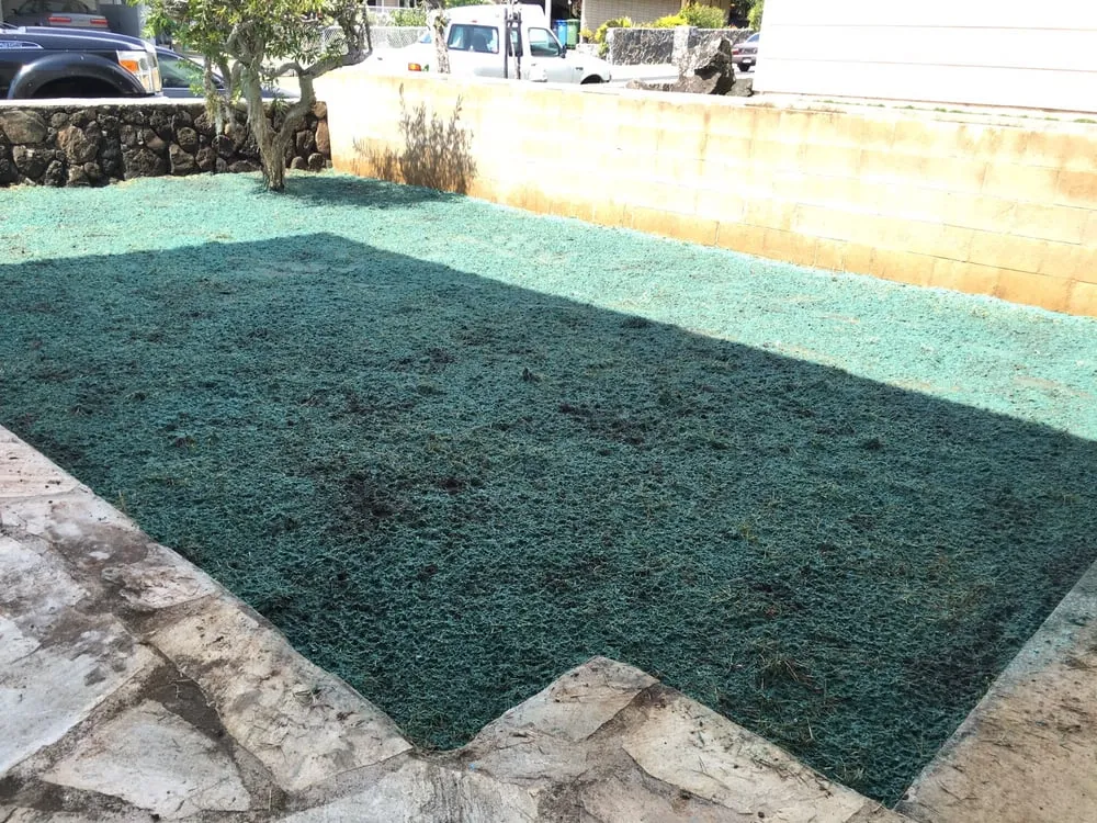 Reliable yard maintenance with custom design in Waimanalo, HI by Haloa Hydroseed
