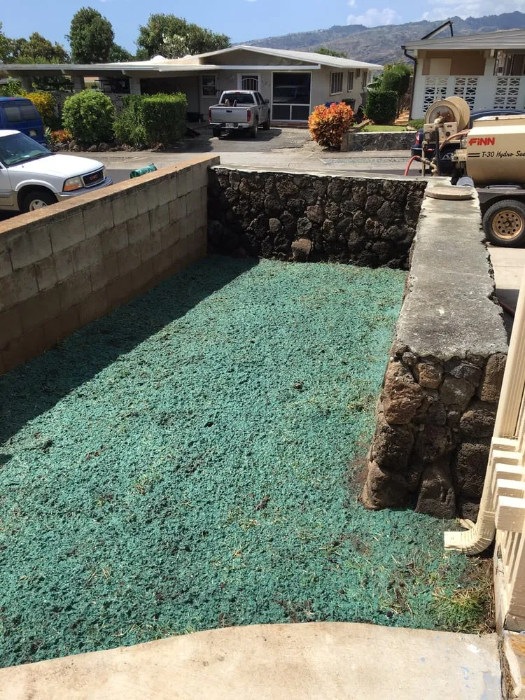 Top-rated yard cleanup service in Waimanalo, HI - Haloa Hydroseed