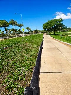 Reliable lawn mowing service experts serving Waimanalo, HI - Haloa Hydroseed
