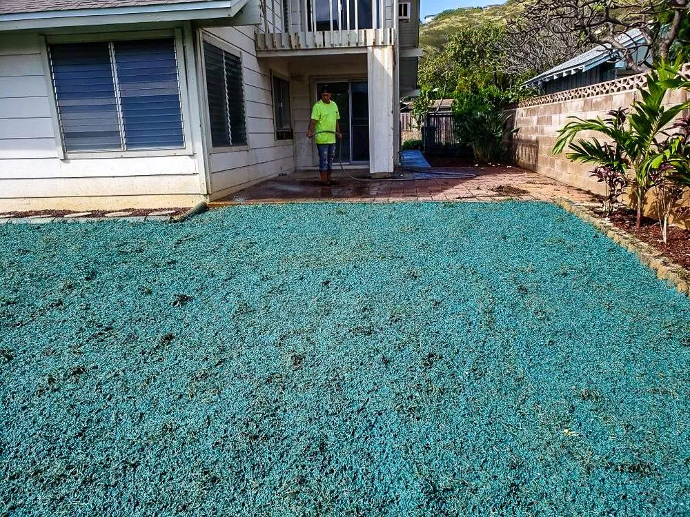 Expert lawn mowing service for year-round maintenance across Waimanalo, HI - Haloa Hydroseed