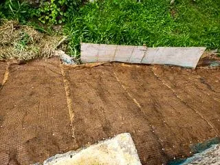 Expert lawn care service for homes in Waimanalo, HI by Haloa Hydroseed