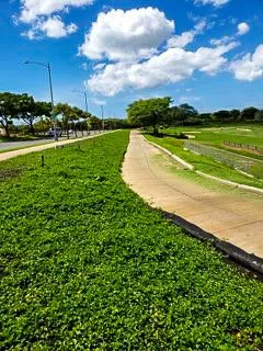 Affordable landscaping services with custom design across Waimanalo, HI - Haloa Hydroseed