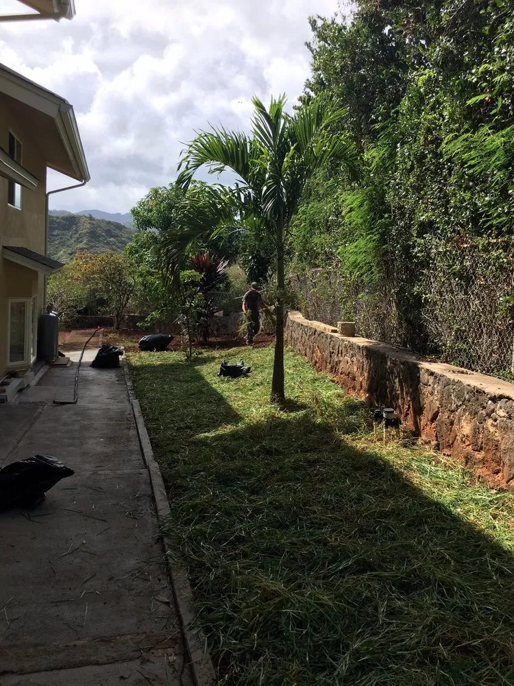 Custom yard cleanup service with custom design in Waimanalo, HI by Haloa Hydroseed