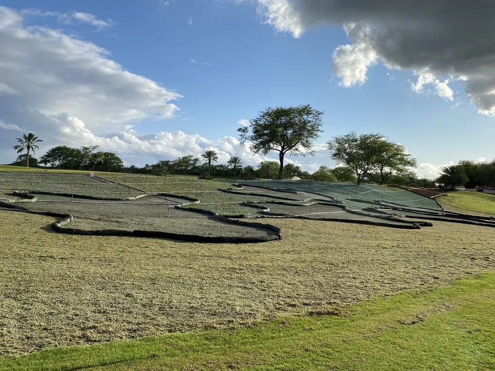 Professional residential landscaping in Waimanalo, HI - Haloa Hydroseed