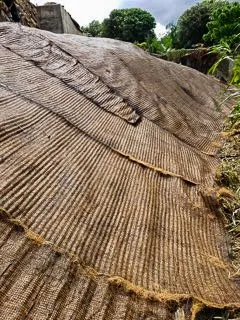 Local yard maintenance for outdoor upgrades across Waimanalo, HI - Haloa Hydroseed