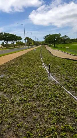 Expert garden landscaping for outdoor upgrades across Waimanalo, HI - Haloa Hydroseed