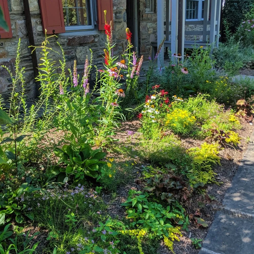 Affordable landscape installation in Ardmore, PA - Halpin Garden