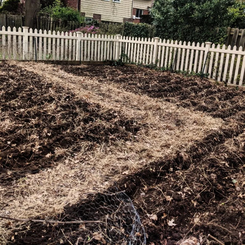 Custom residential landscaping for outdoor upgrades across Ardmore, PA - Halpin Garden