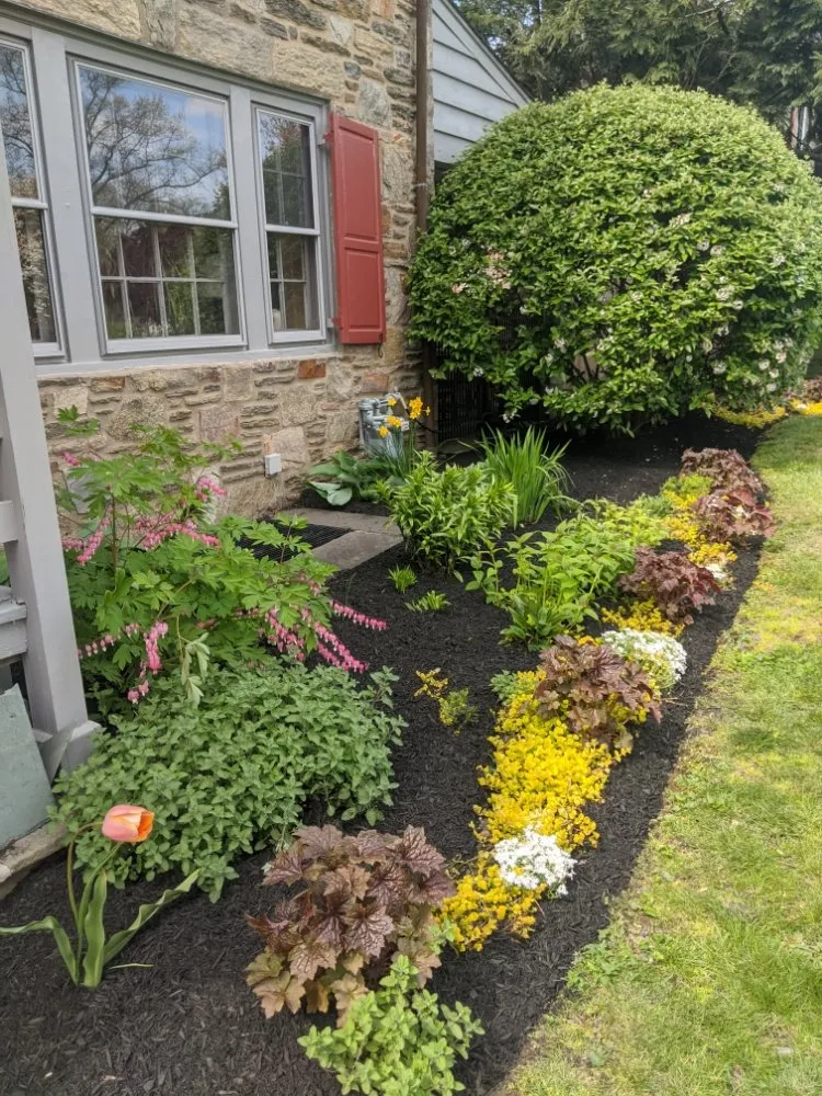 Affordable lawn mowing service for beautiful yards in Ardmore, PA by Halpin Garden