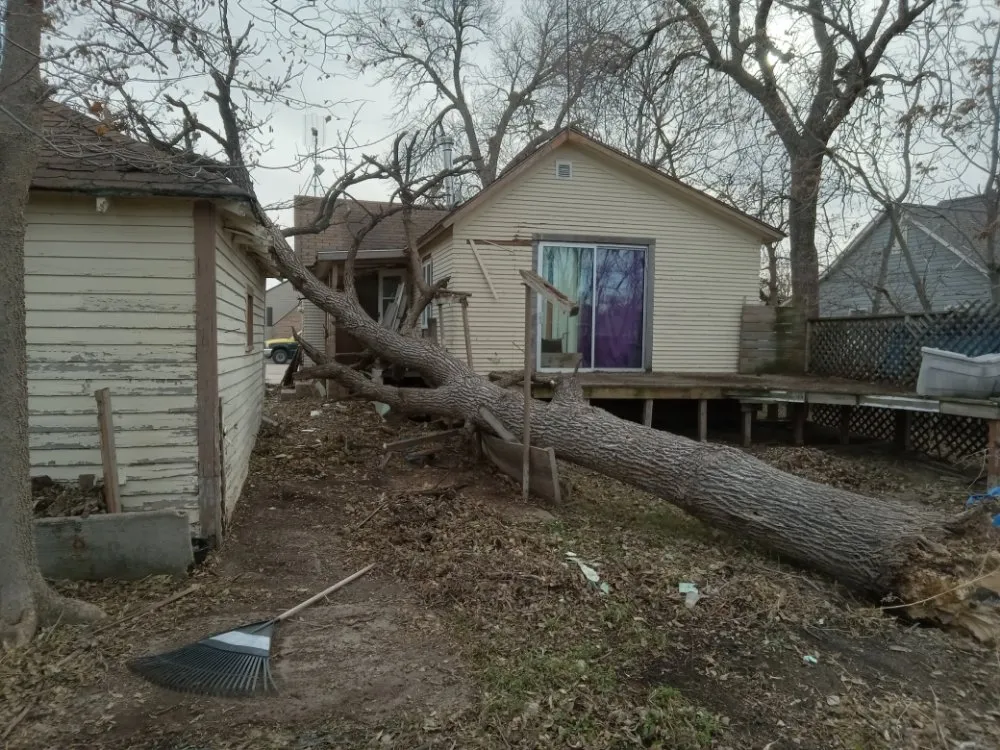 Professional residential landscaping experts serving Grand Island, NE - Halsey Home Service