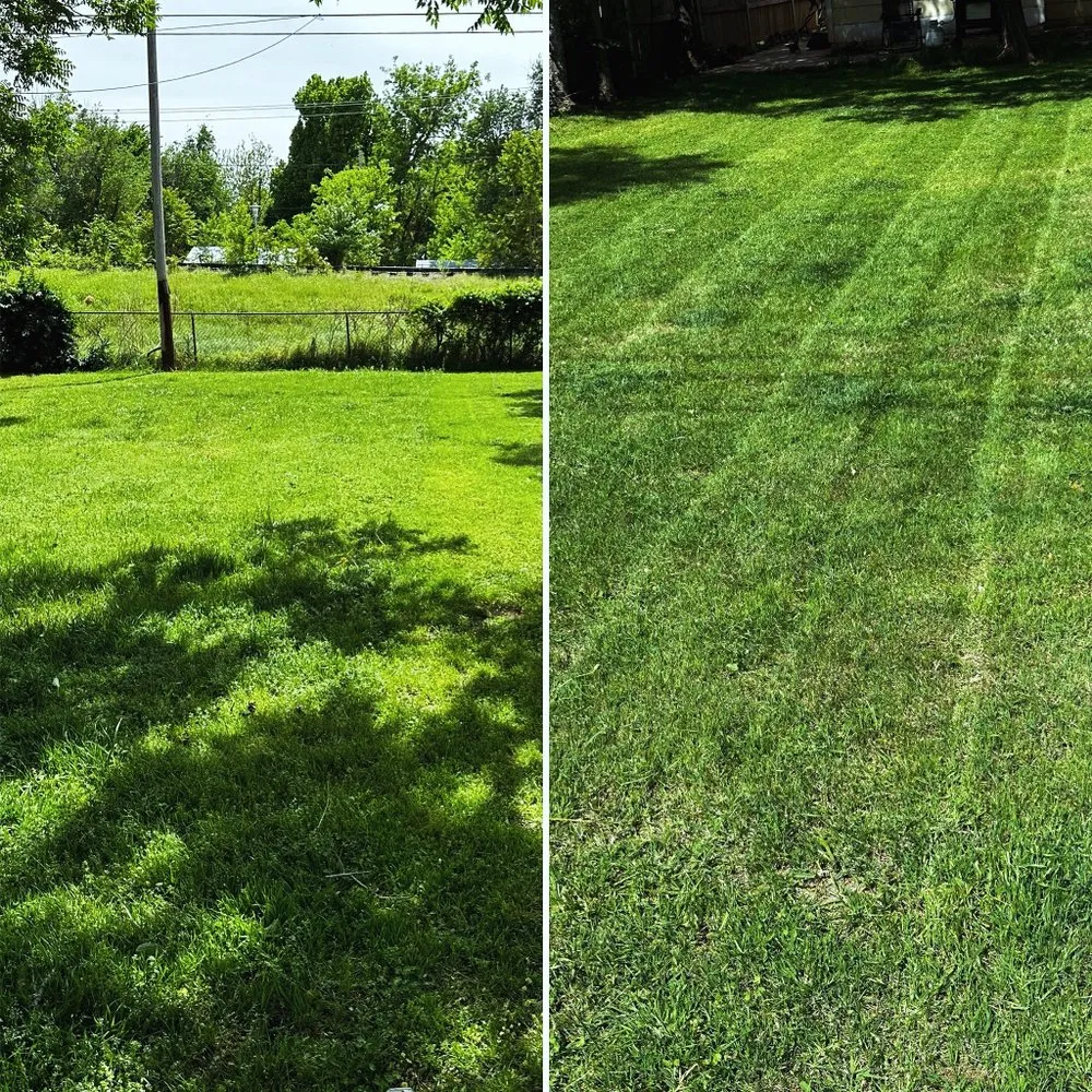 Local yard cleanup service for beautiful yards across Oklahoma City, OK - HalSolaris Landscaping