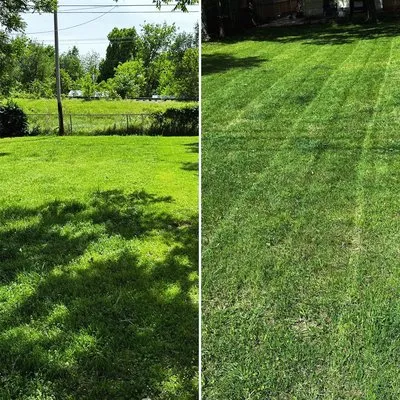 HalSolaris Landscaping Logo