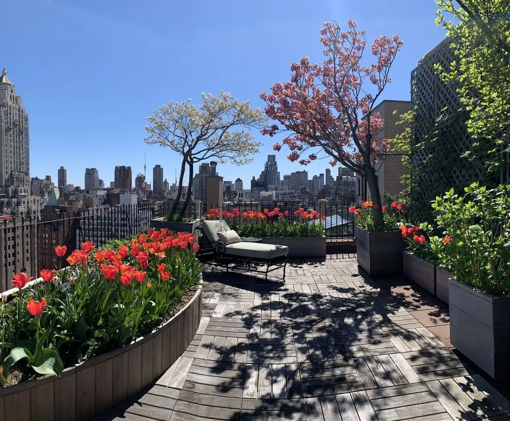 Reliable yard cleanup service with custom design in Brooklyn, NY by Halsted Welles Associates