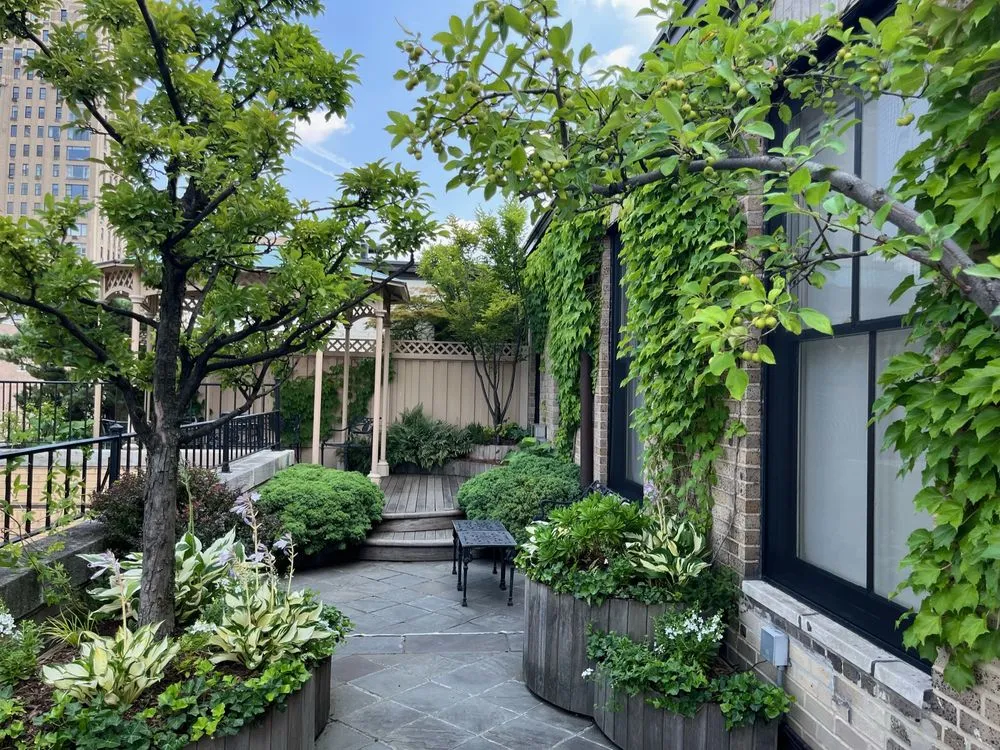 Top-rated yard cleanup service for homes across Brooklyn, NY - Halsted Welles Associates