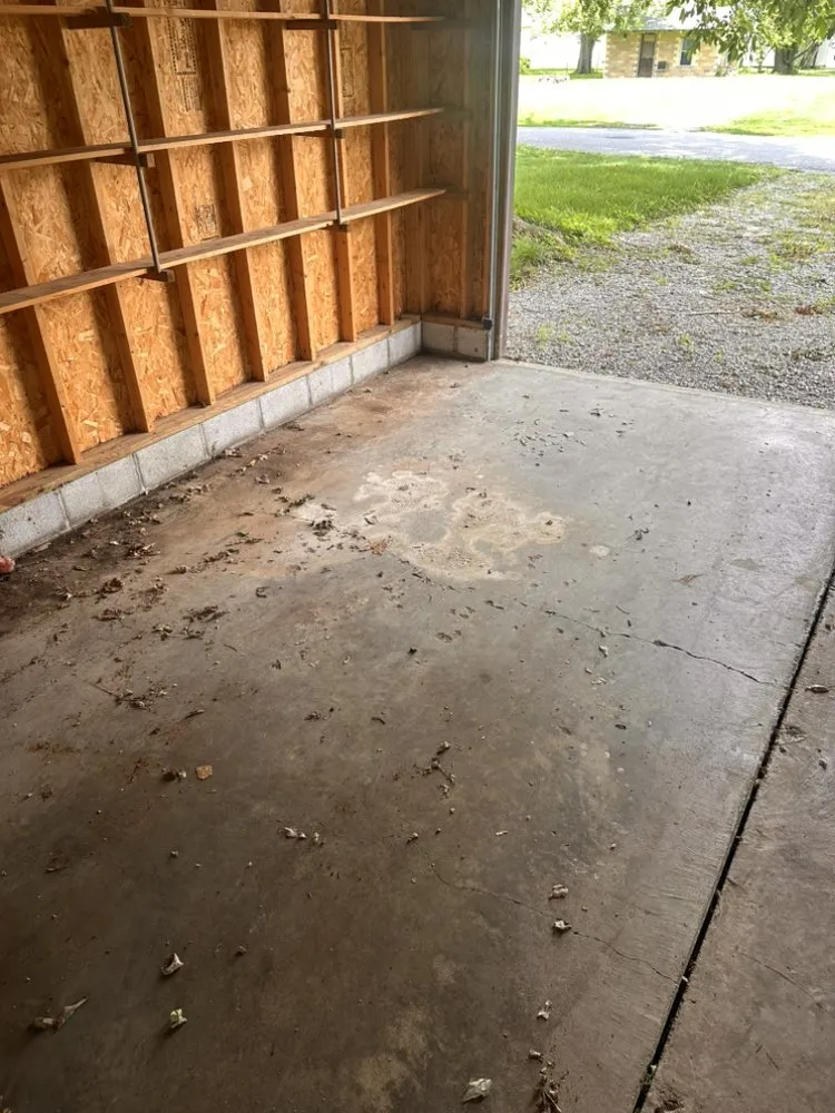 Professional yard cleanup service in Petersburg, IN by Halton Liquidations