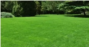 Trusted landscaping services in Hampden, MA by Haluch's Landscapes