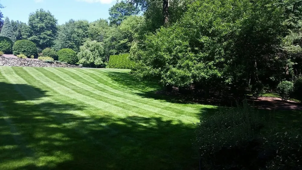 Professional yard cleanup service in Hampden, MA by Haluch's Landscapes