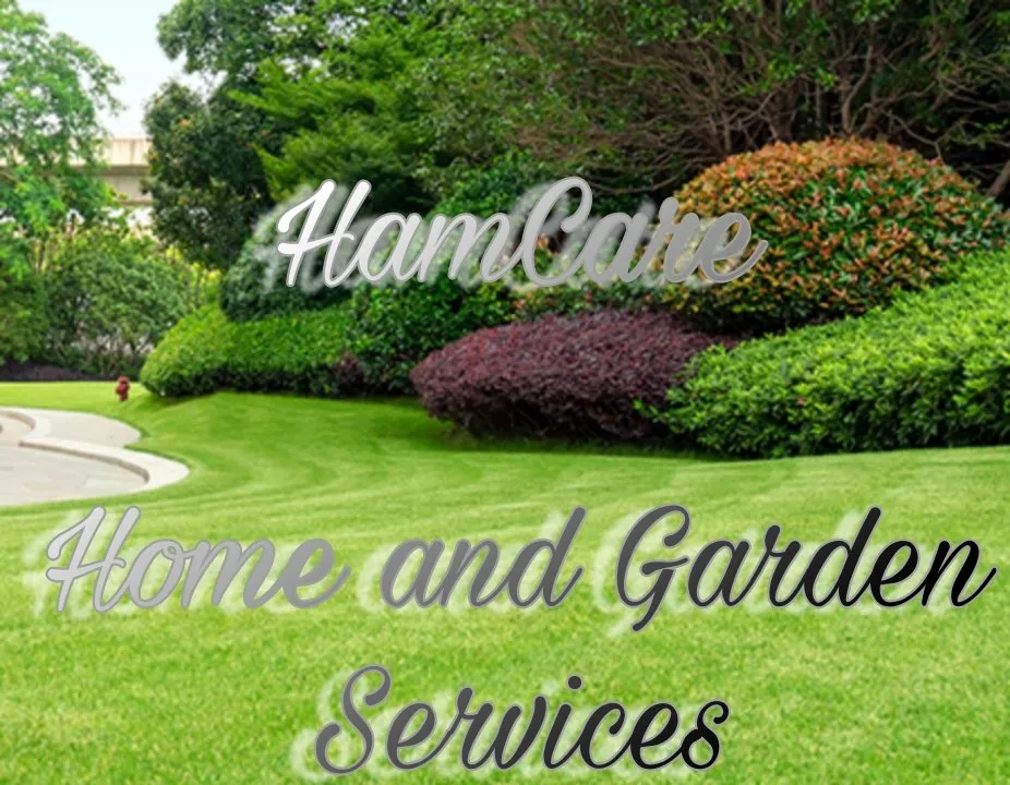 Top-rated landscape installation with custom design across Modesto, CA - Ham Care