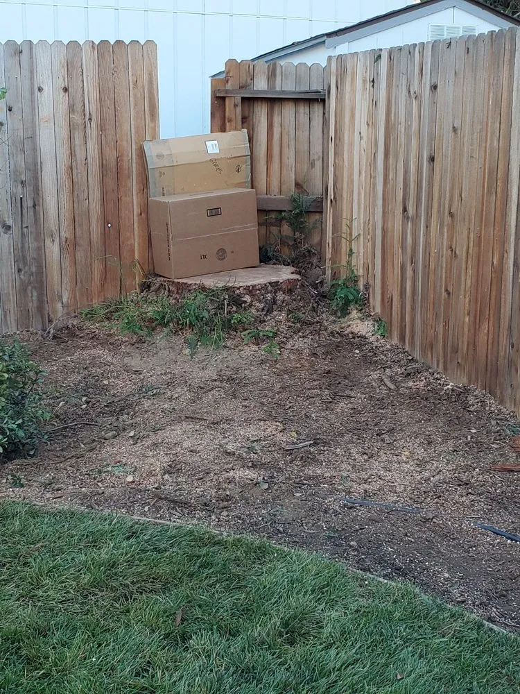 Trusted landscape design in Sacramento, CA - Haman Landscape and Tree Service