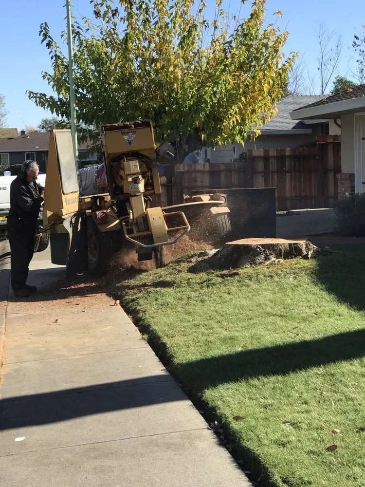 Local garden landscaping experts serving Sacramento, CA - Haman Landscape and Tree Service