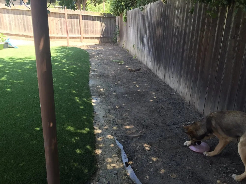 Reliable yard cleanup service in Sacramento, CA by Haman Landscape and Tree Service