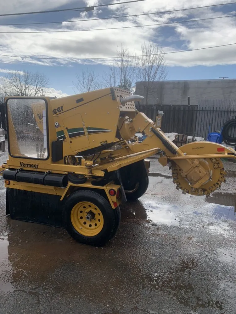 Reliable landscaping services in Sacramento, CA by Haman Landscape and Tree Service