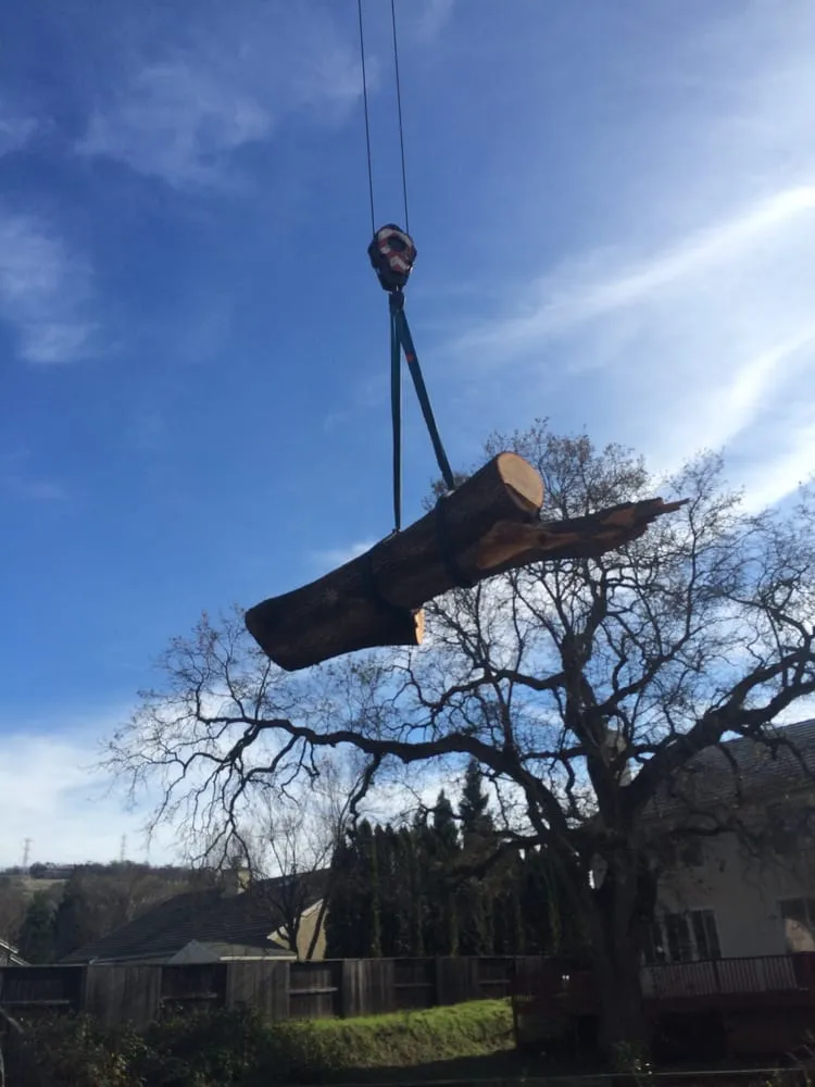 Expert outdoor landscaping in Sacramento, CA by Haman Landscape and Tree Service