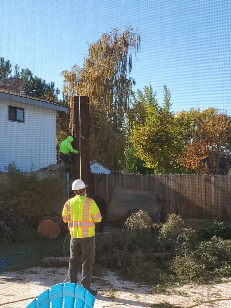 Professional outdoor landscaping experts serving Sacramento, CA - Haman Landscape and Tree Service