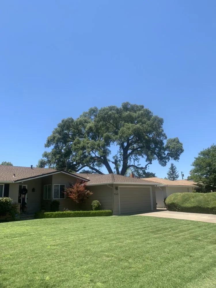 Affordable landscape installation in Sacramento, CA by Haman Landscape and Tree Service