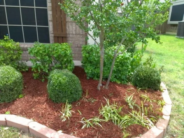 Professional outdoor landscaping in Arlington, TX - Hamann Landscape Services
